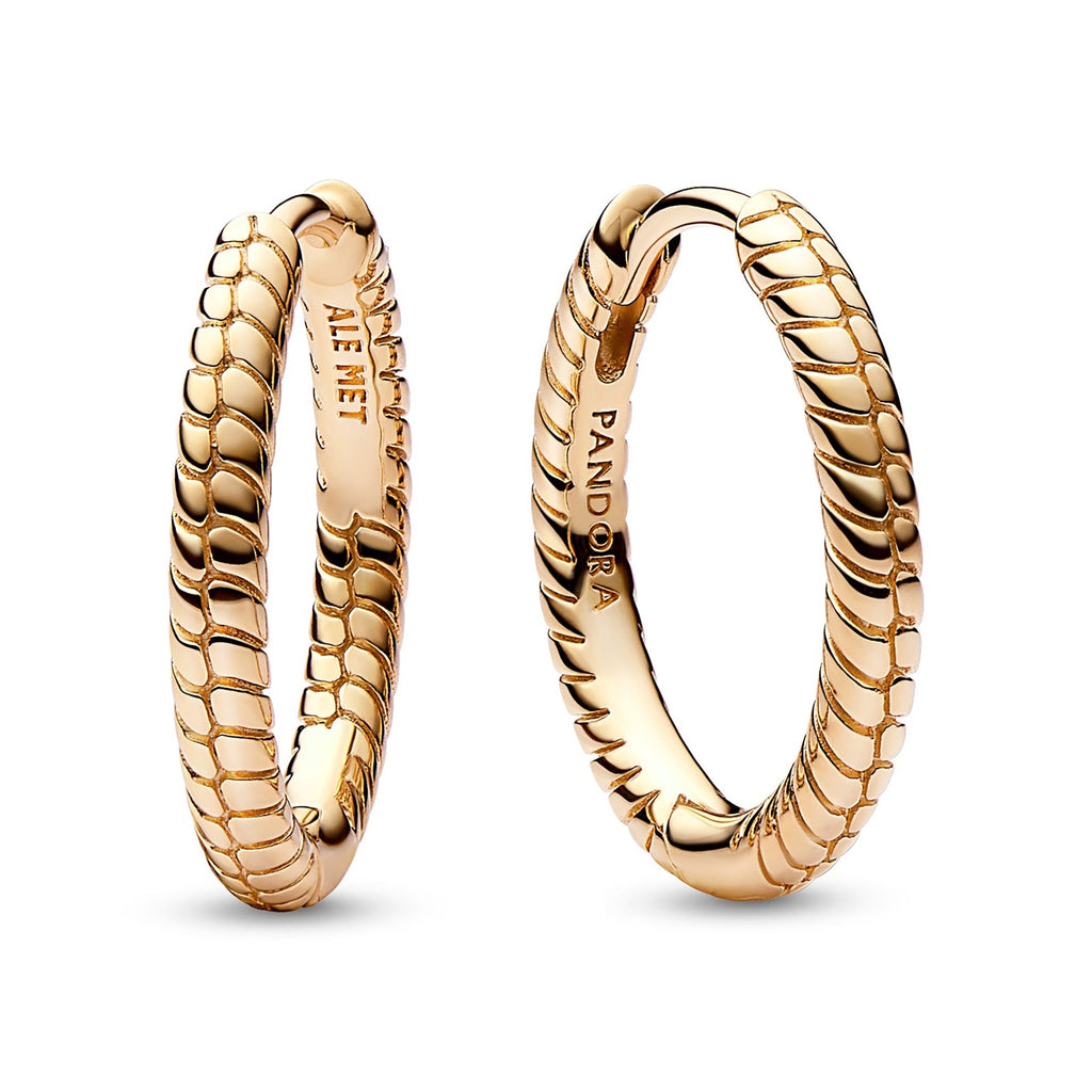 Lion Medallion Charm Earrings