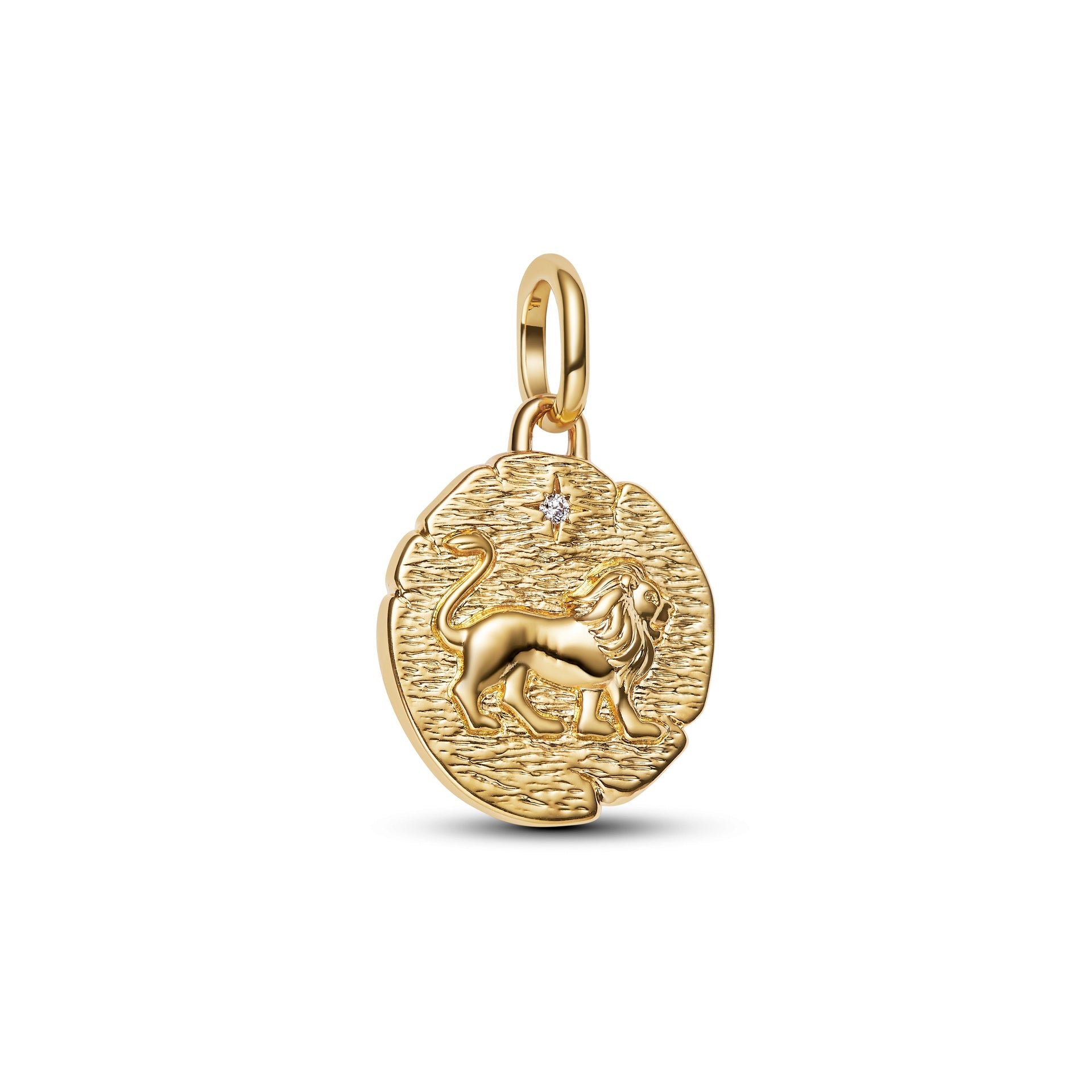 Lion Medallion Charm Earrings